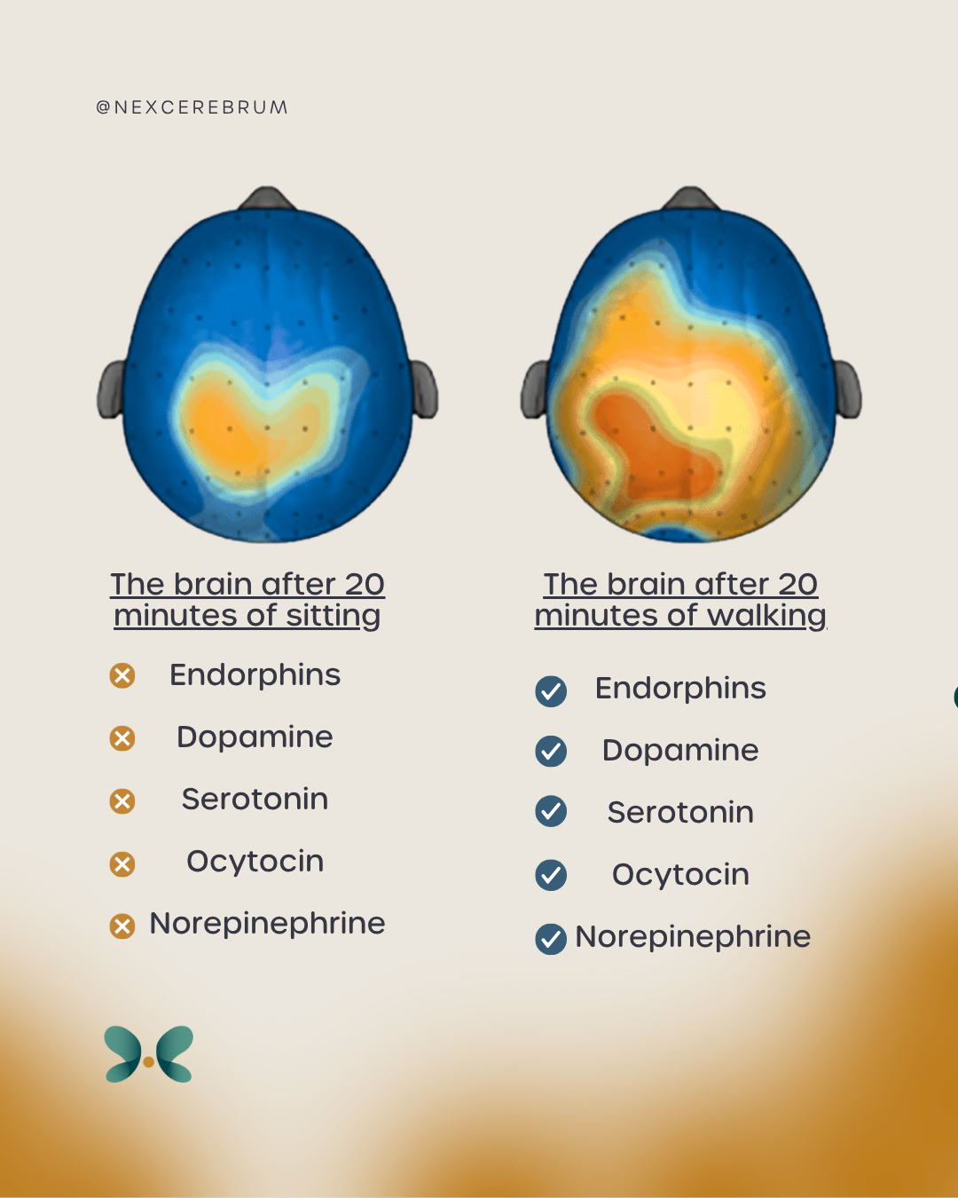 Brain Boost Visual